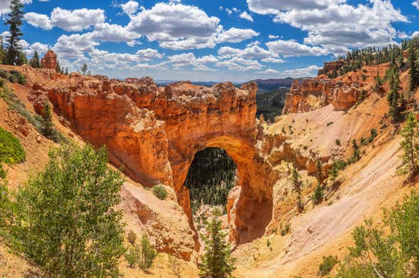 Excursion à Bryce Canyon et Zion Canyon