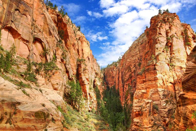 Parc National de Zion de l'Utah 