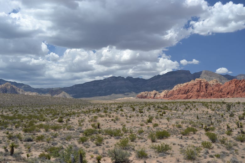 Paysage de Red Rock, près de Las Vegas