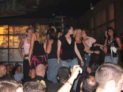 Bar Coyote