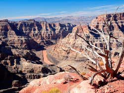 Guano Point, vue