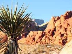 Red Rock Canyon